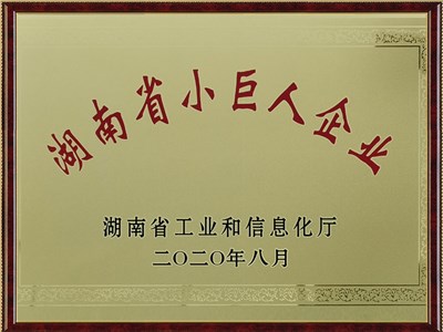 2020年湖南省小巨人企业